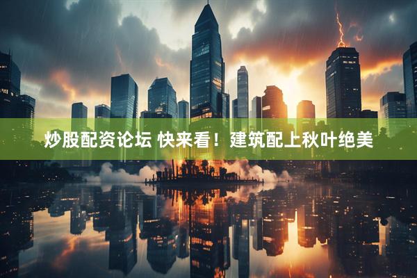 炒股配资论坛 快来看!建筑配上秋叶绝美