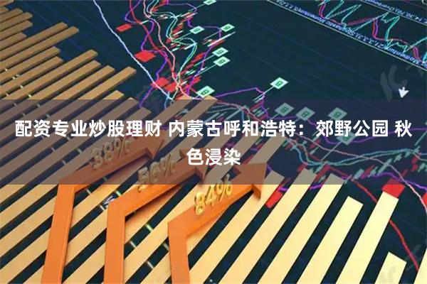 配资专业炒股理财 内蒙古呼和浩特:郊野公园 秋色浸染
