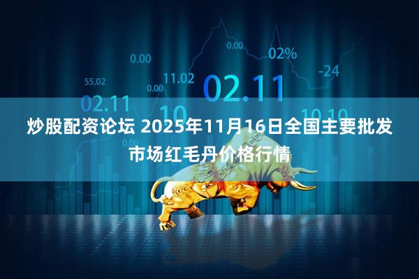炒股配资论坛 2025年11月16日全国主要批发市场红毛丹价格行情