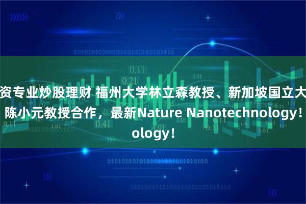 配资专业炒股理财 福州大学林立森教授、新加坡国立大学陈小元教授合作,最新Nature Nanotechnology!