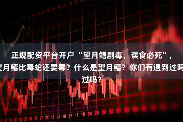 正规配资平台开户 “望月鳝剧毒，误食必死”，望月鳝比毒蛇还要毒？什么是望月鳝？你们有遇到过吗？